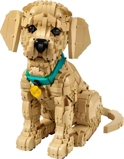 11384-1 Golden Retriever Puppy