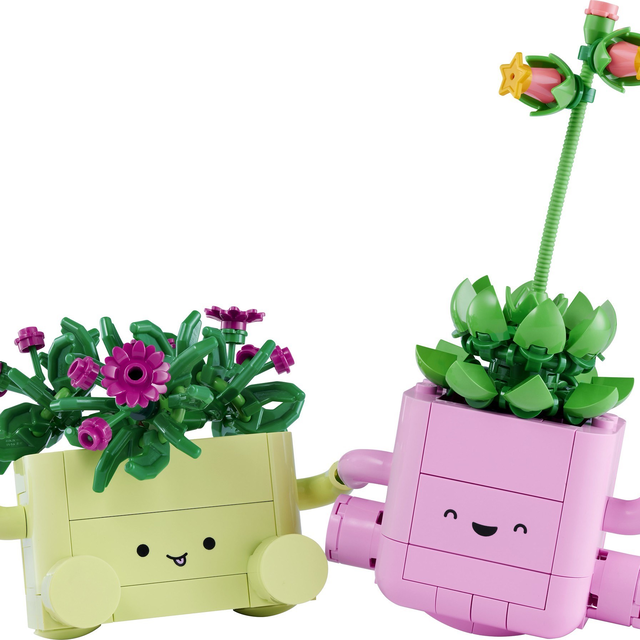 11506-1 Rocking Plants