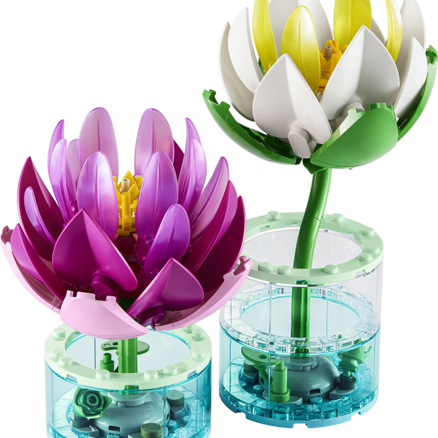 11511-1 Water Lilies