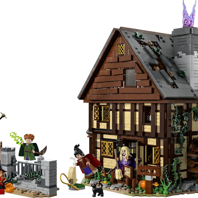 21341-1 Hocus Pocus