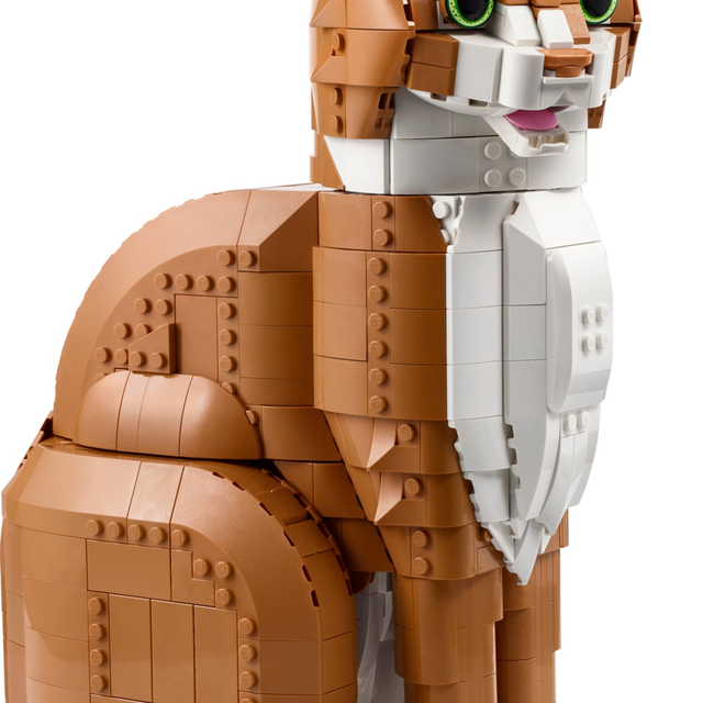 21376-1 Orange Cat
