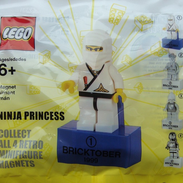 2856223-1 Ninja Princess
