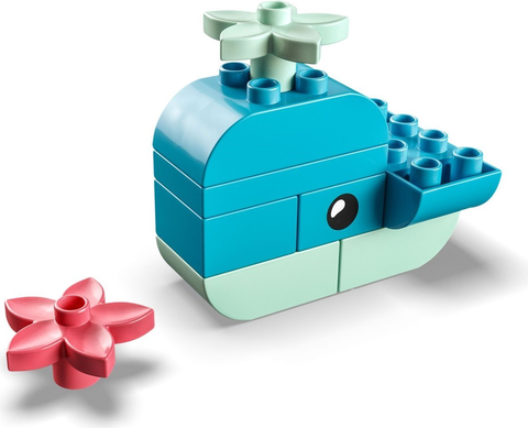 30648-1 Whale