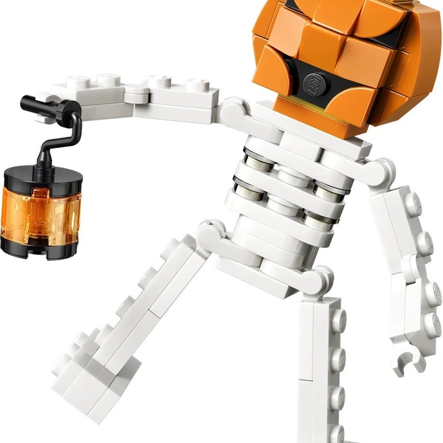 30717-1 Fun Halloween Skeleton