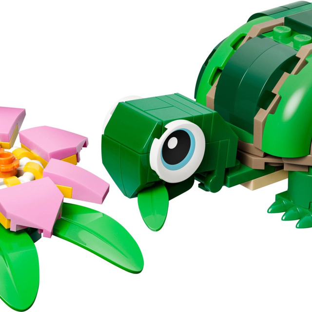 31377-1 Turtle with a Water Lily Flower
