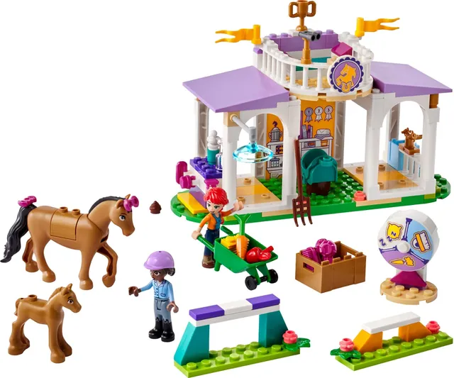 41746-1 Horse Training