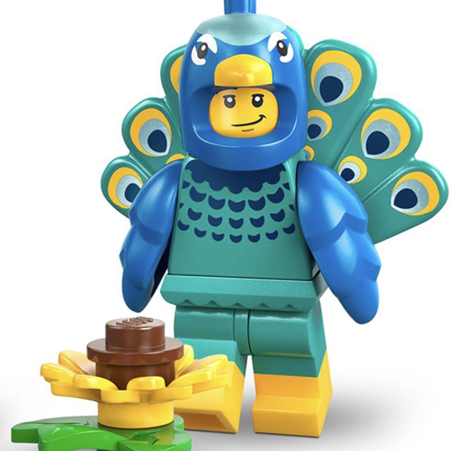 71051-1 Peacock Suit