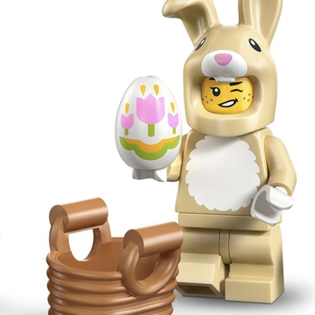 71051-10 Rabbit Suit