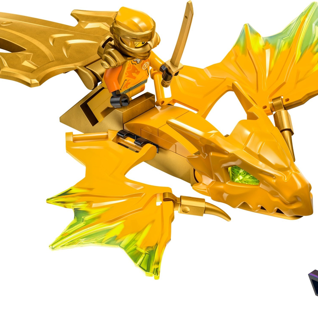 71803-1 Arin's Rising Dragon Strike