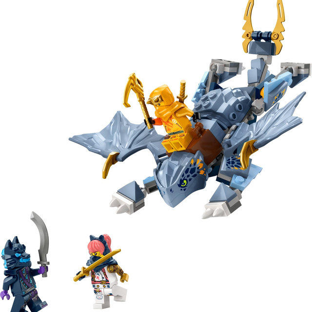 71810-1 Young Dragon Riyu