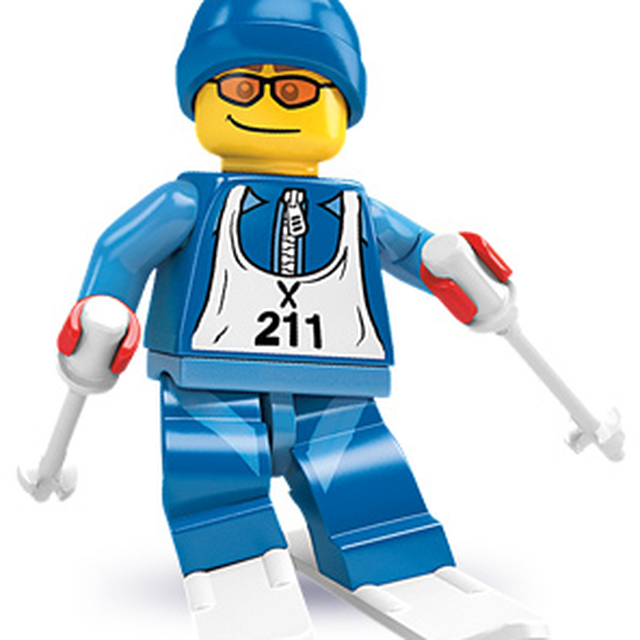 8684-12 Skier