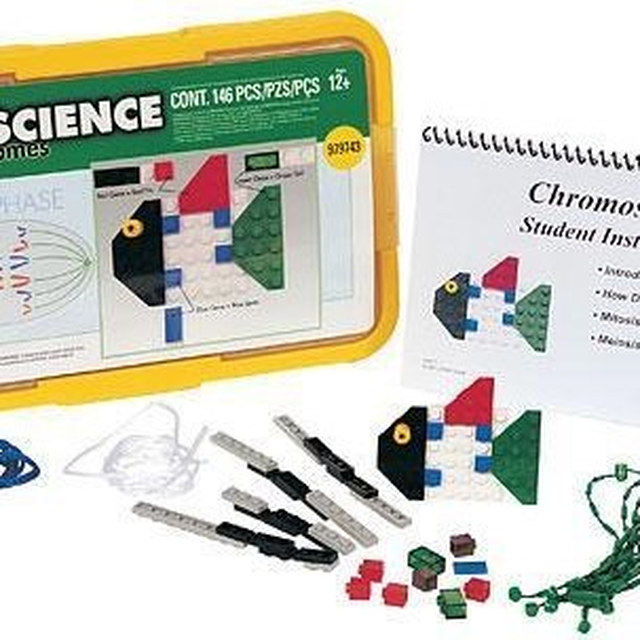 9743-1 Chromosomes - Student Set