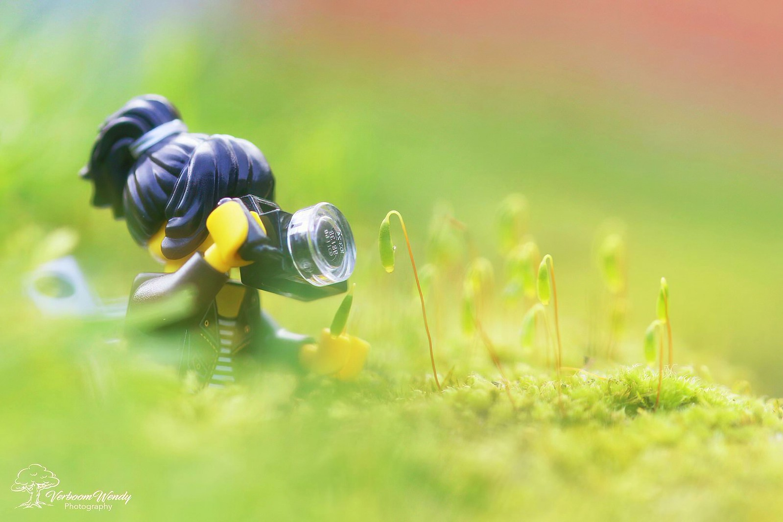 Winners of the LEGO Build & Capture Photo Contest 2021