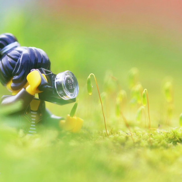 Winners of the LEGO Build & Capture Photo Contest 2021